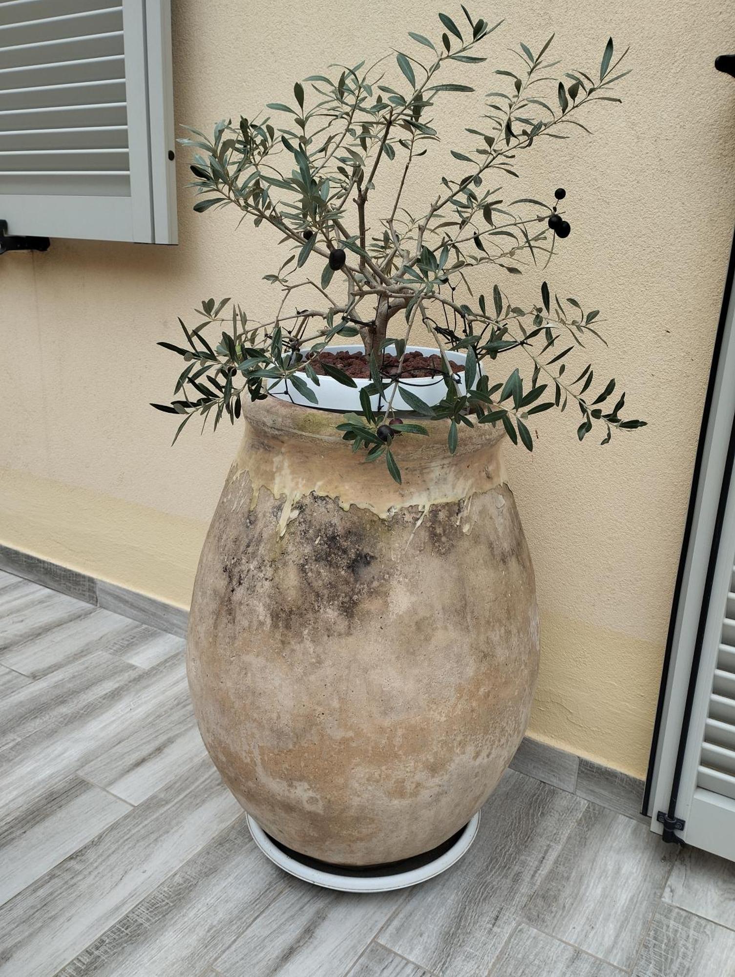Ferienwohnung Pama Mar Imperia Exterior foto